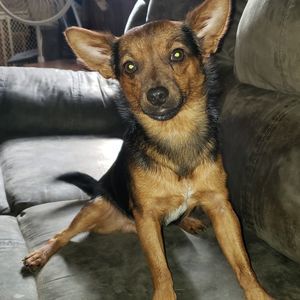 Meet your Posher, Carolyn